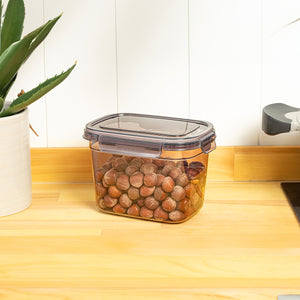 1300 ml Tesny Food Storage Box with Lock Cover