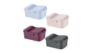 Luna Lunch Box with compartment tray