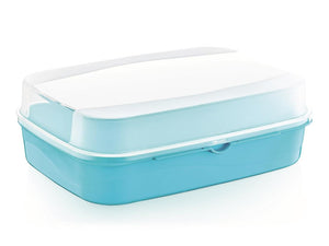 Large Storage Box with Transparent Cover - HouzeCart