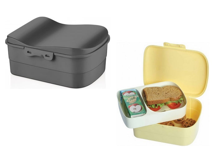 Luna Lunch Box with compartment tray